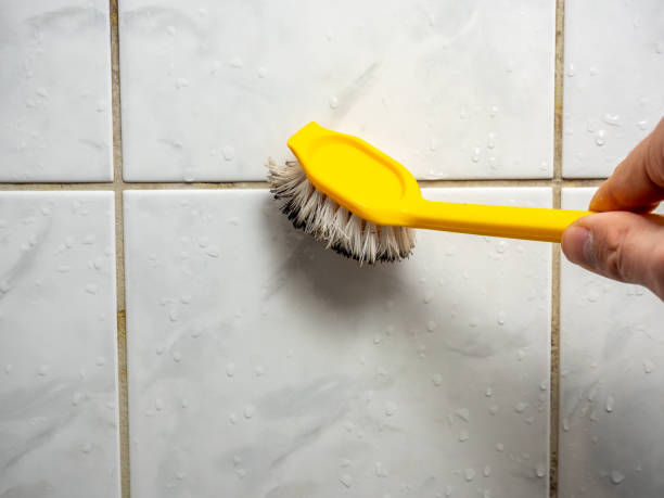 Best Water Damage Restoration  in Lyons, OR