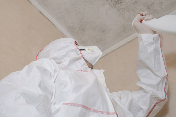 Mold Testing and Removal in Lyons, OR