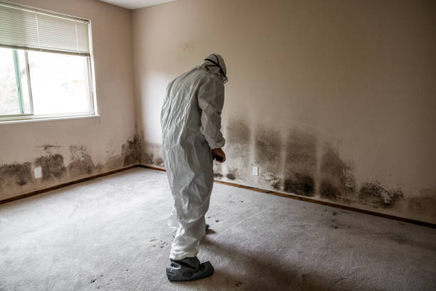 Best Professional Mold Removal  in Lyons, OR