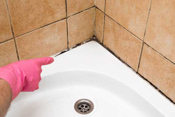Best Mold Testing  in Lyons, OR